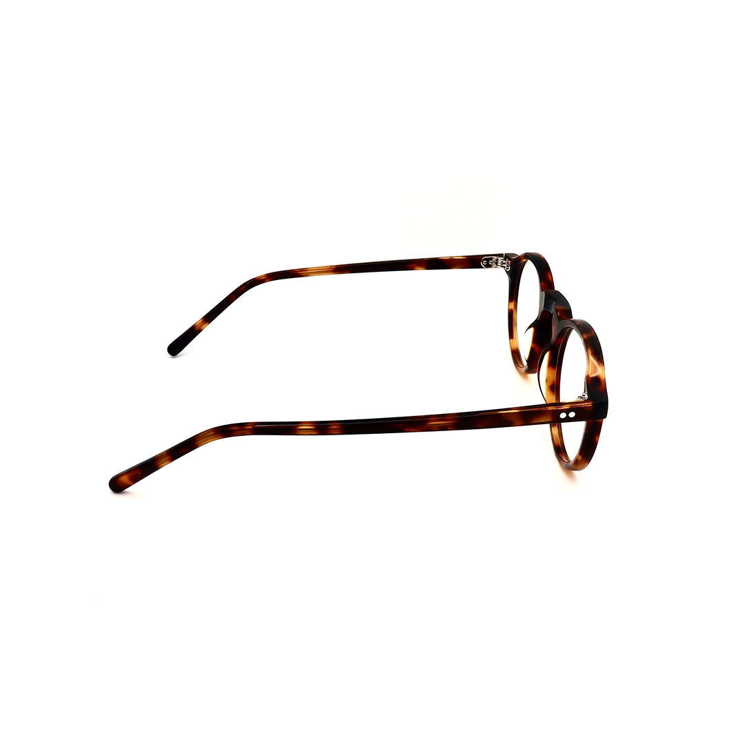Hampstead - Tortoise