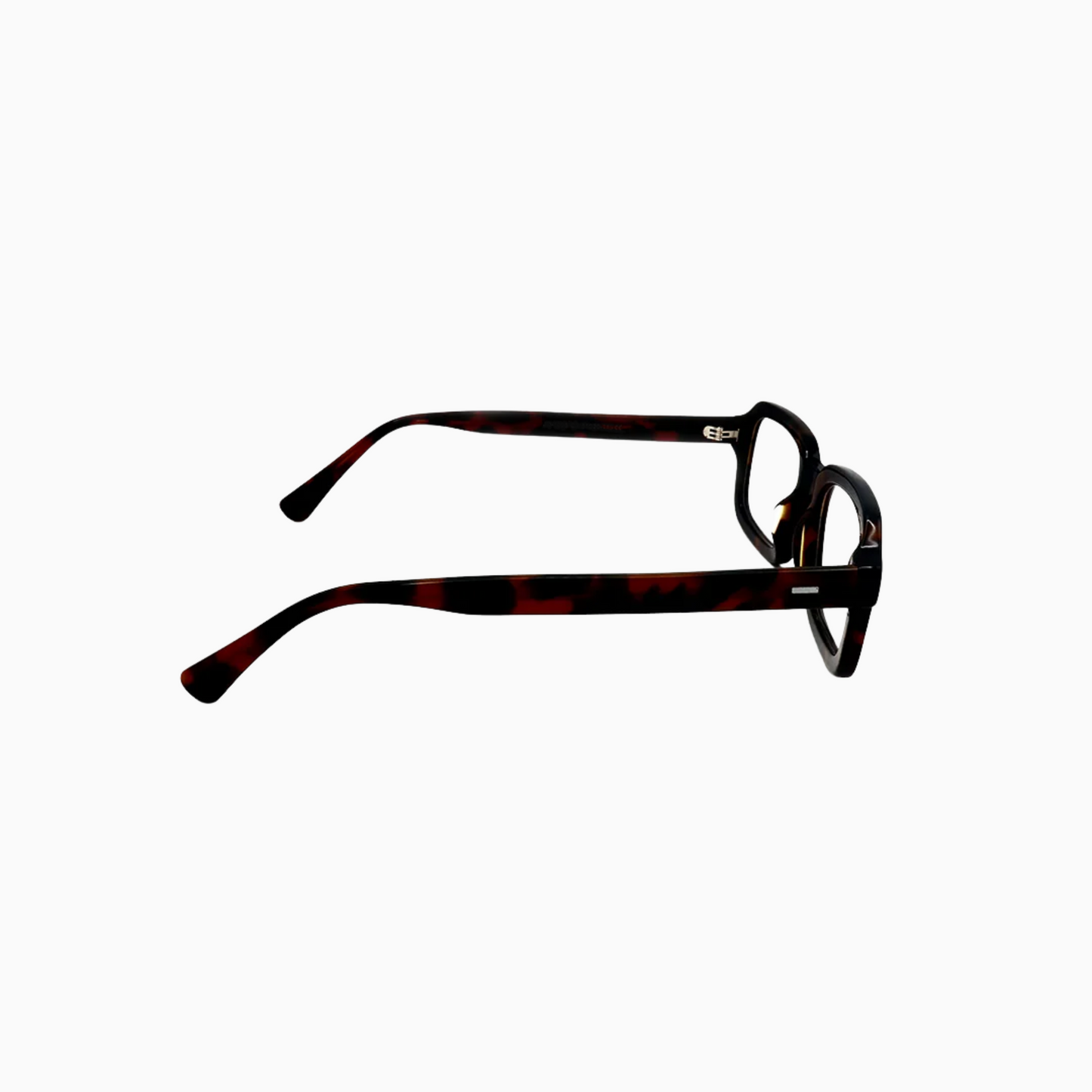 Caine - Tortoise