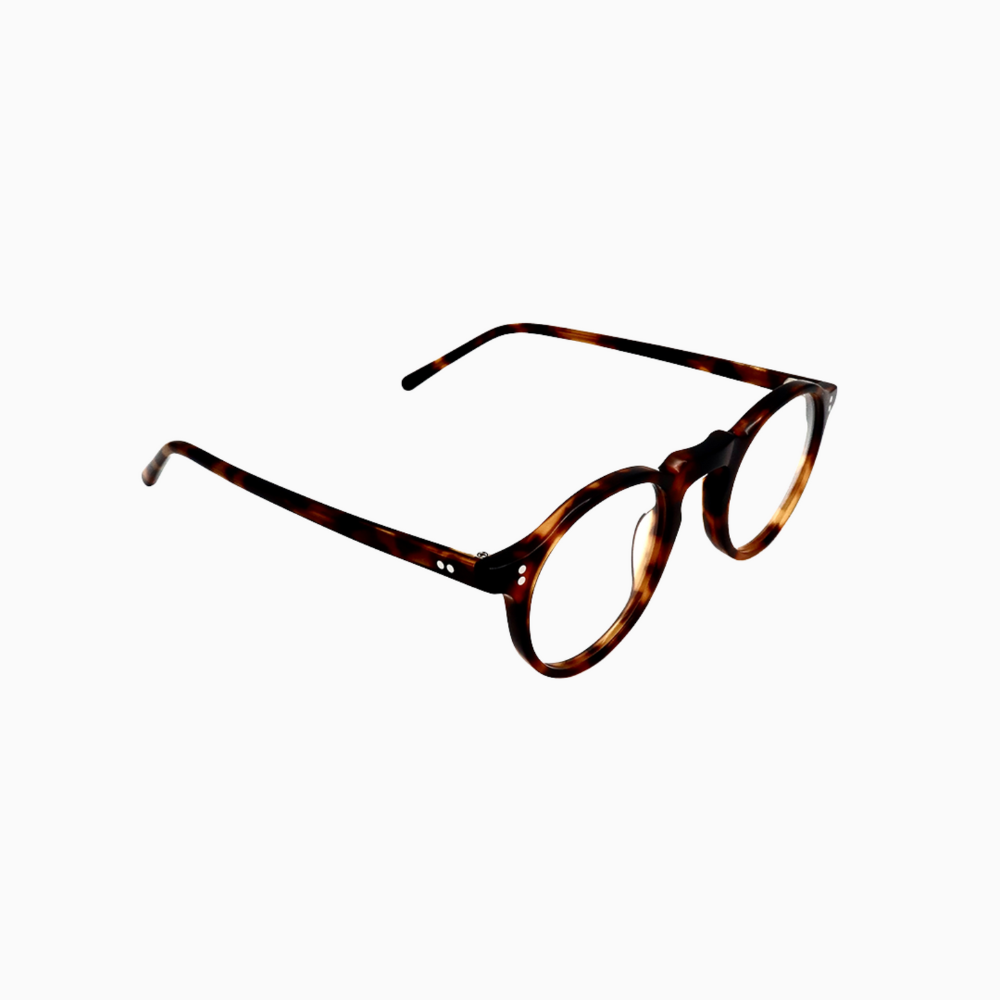 Hampstead - Tortoise
