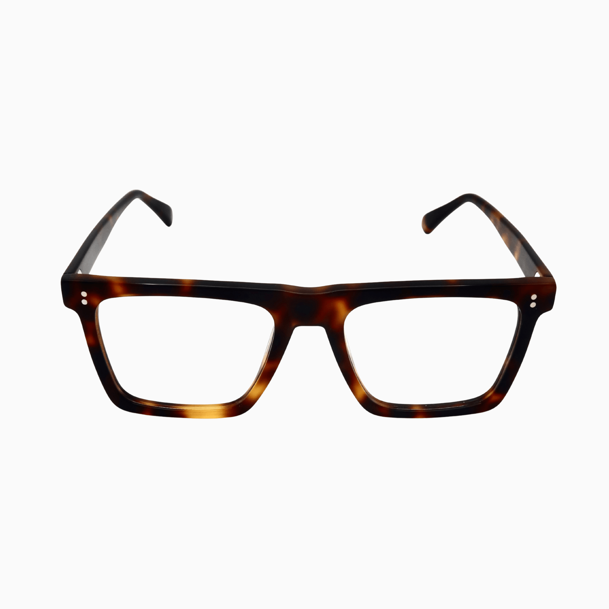 Portland - Tortoise - Greenwich Social Club