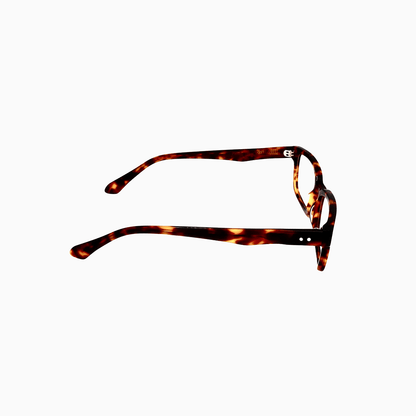 Southampton - Tortoise PRE - ORDER - Greenwich Social Club